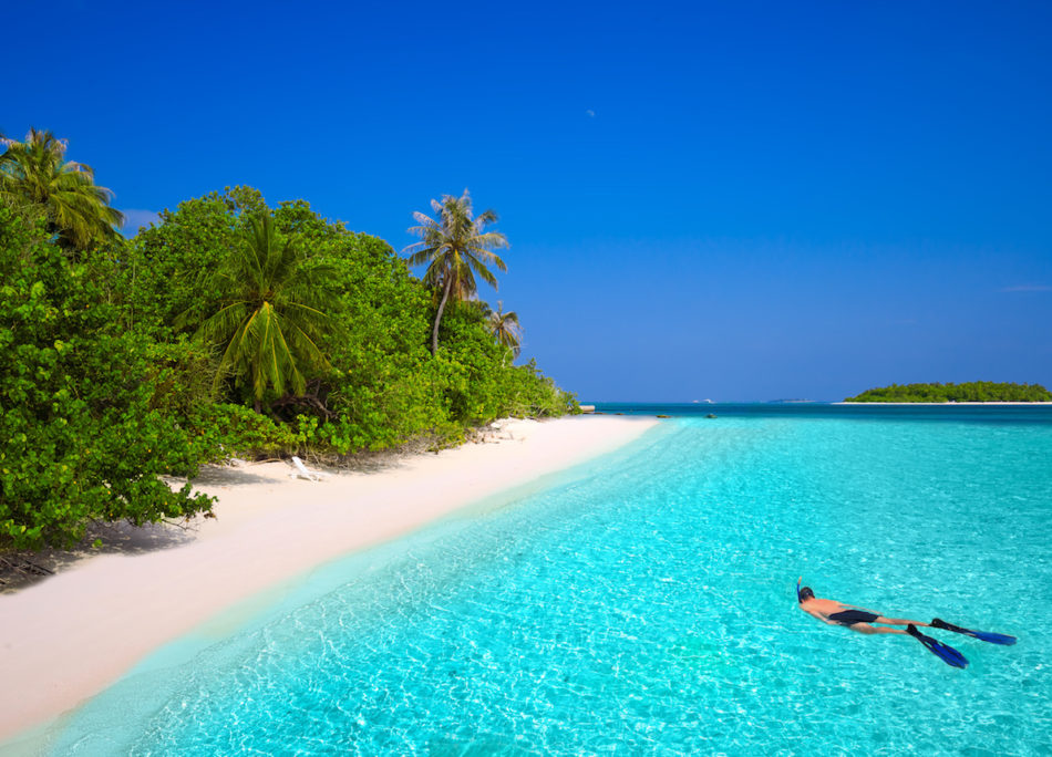 Young man snorkling in tropical island with sandy beach, palm trees and turquoise clear water